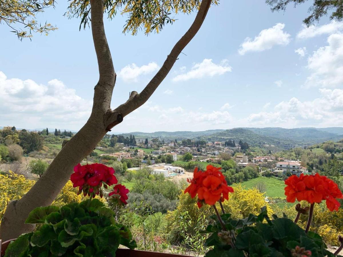 Cosmema House 2 With Great Mountain View Holiday home Stroumbi